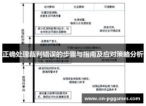 正确处理裁判错误的步骤与指南及应对策略分析