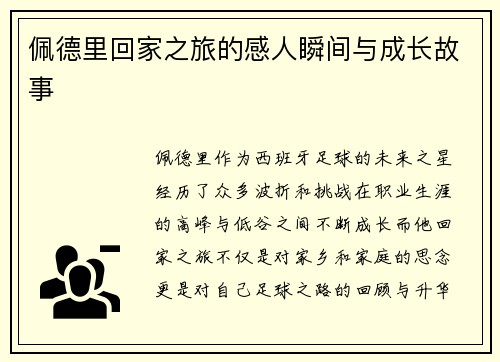 佩德里回家之旅的感人瞬间与成长故事